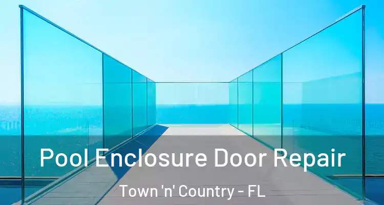 Pool Enclosure Door Repair Town 'n' Country - FL