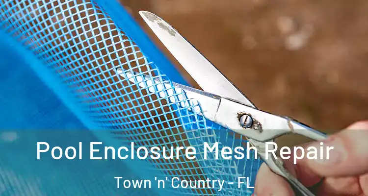 Pool Enclosure Mesh Repair Town 'n' Country - FL
