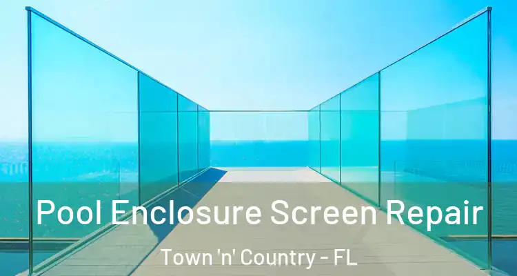 Pool Enclosure Screen Repair Town 'n' Country - FL