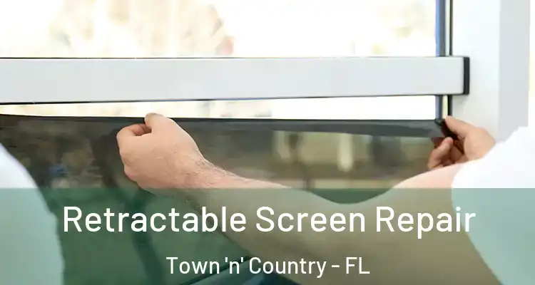 Retractable Screen Repair Town 'n' Country - FL