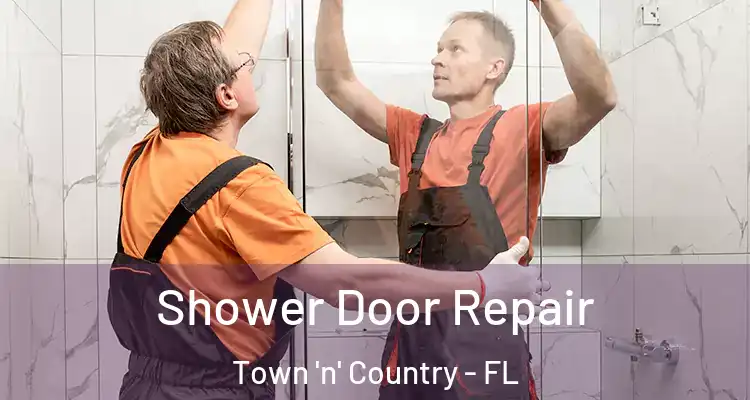 Shower Door Repair Town 'n' Country - FL