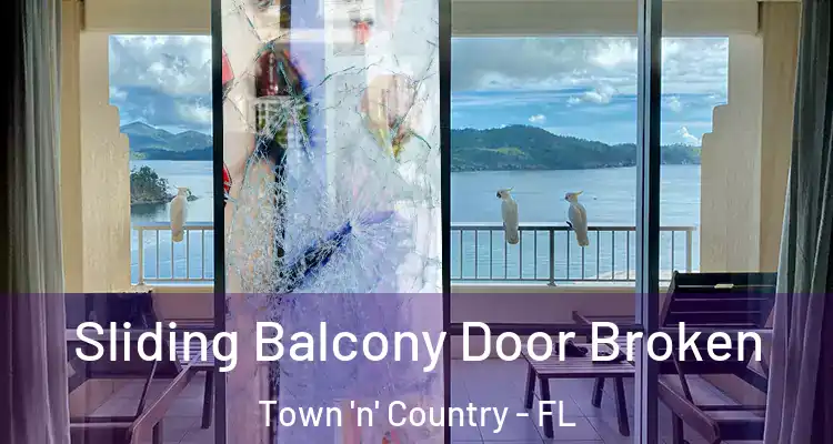 Sliding Balcony Door Broken Town 'n' Country - FL