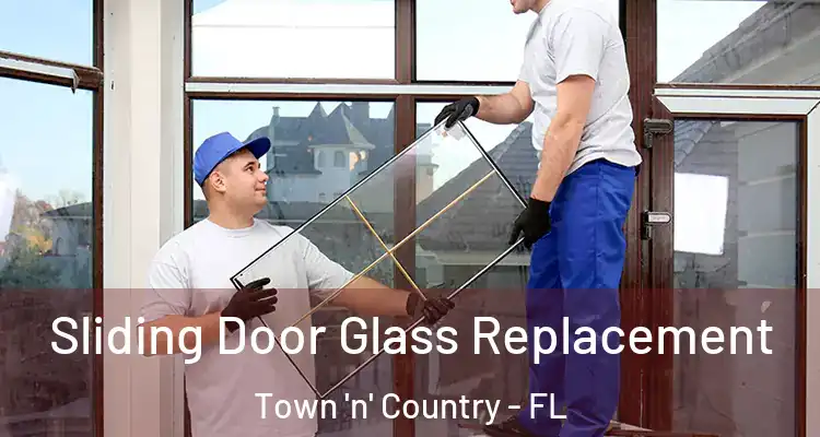 Sliding Door Glass Replacement Town 'n' Country - FL