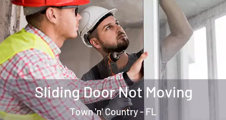 Sliding Door Not Moving Town 'n' Country - FL