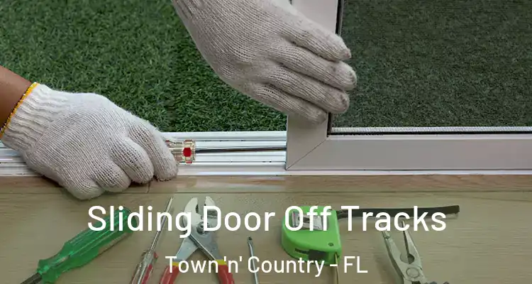 Sliding Door Off Tracks Town 'n' Country - FL