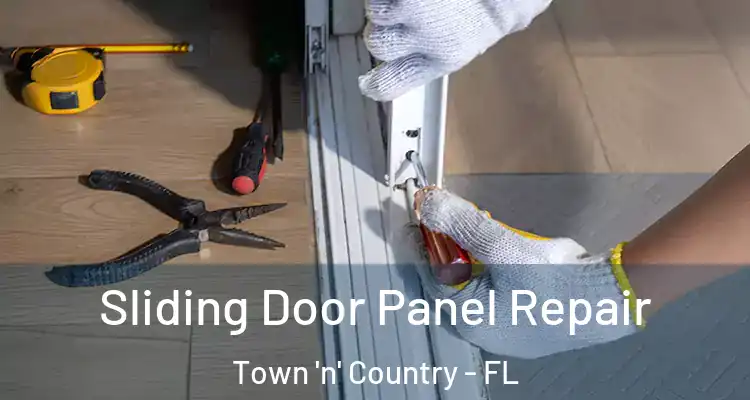 Sliding Door Panel Repair Town 'n' Country - FL