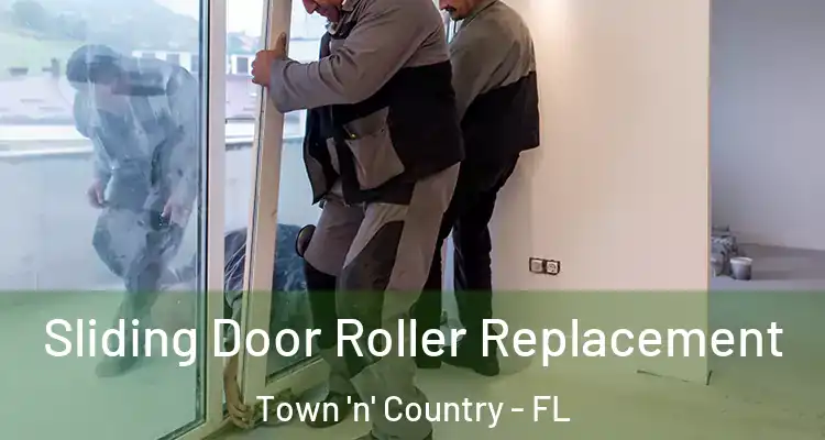 Sliding Door Roller Replacement Town 'n' Country - FL