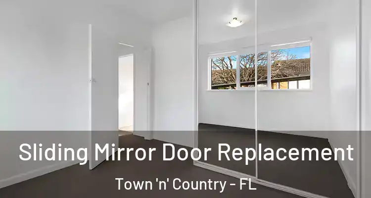 Sliding Mirror Door Replacement Town 'n' Country - FL