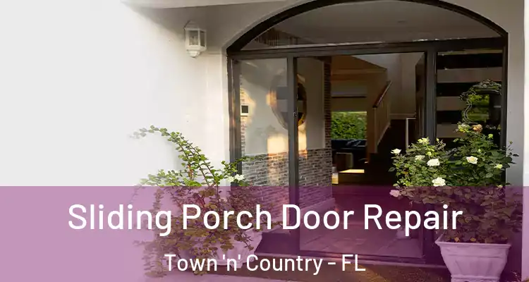 Sliding Porch Door Repair Town 'n' Country - FL