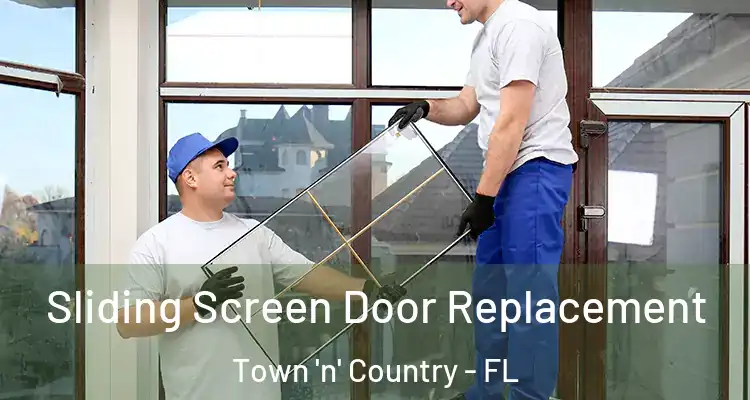Sliding Screen Door Replacement Town 'n' Country - FL