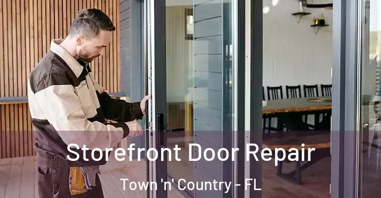 Storefront Door Repair Town 'n' Country - FL