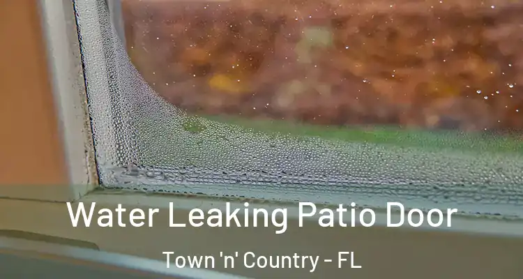 Water Leaking Patio Door Town 'n' Country - FL