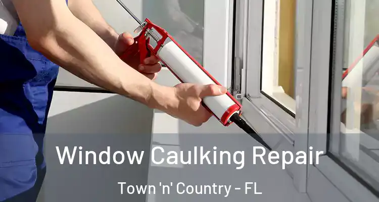 Window Caulking Repair Town 'n' Country - FL