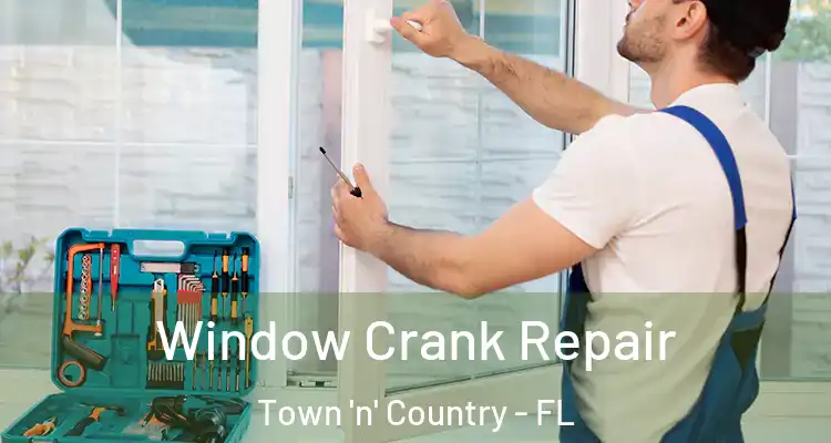 Window Crank Repair Town 'n' Country - FL