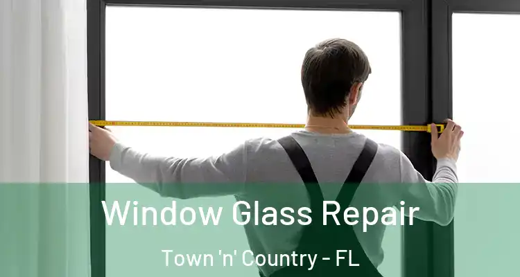 Window Glass Repair Town 'n' Country - FL