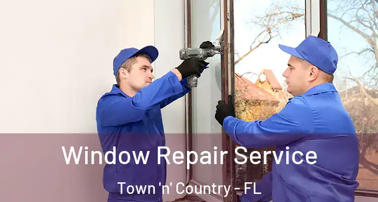 Window Repair Service Town 'n' Country - FL
