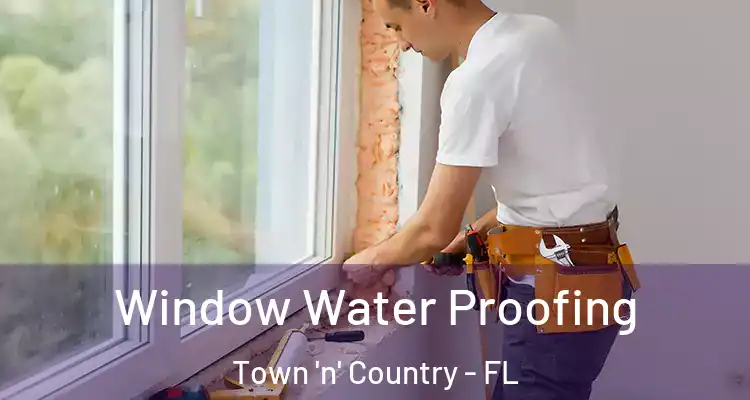 Window Water Proofing Town 'n' Country - FL