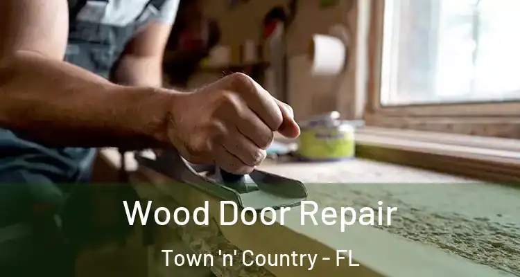 Wood Door Repair Town 'n' Country - FL